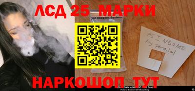 амф Можга