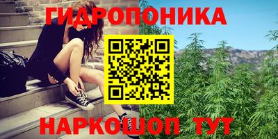 прущие грибы Можайск