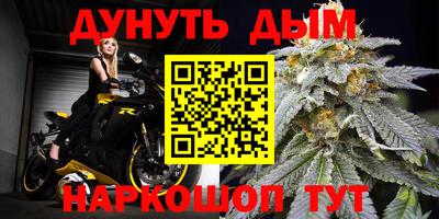 прущие грибы Можайск
