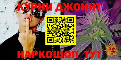 стафф Моздок