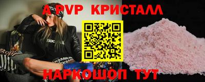 стафф Моздок