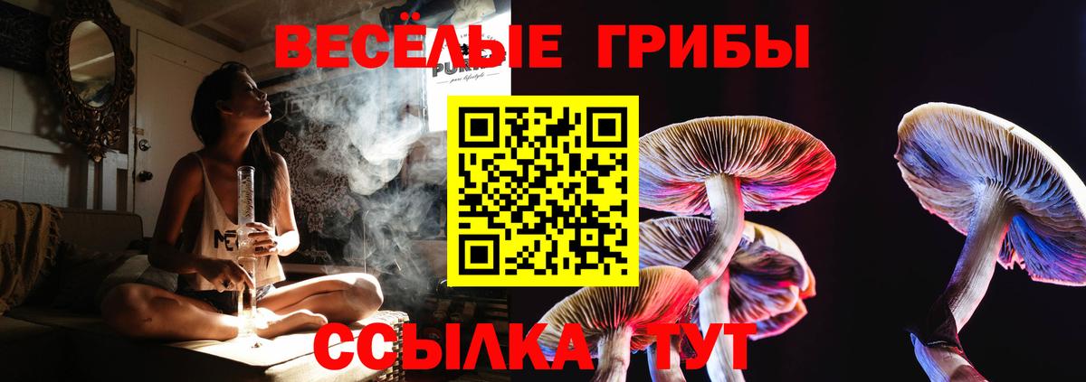 Псилоцибиновые грибы GOLDEN TEACHER  Вход с VPN  Большой Камень 